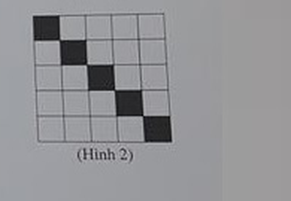 Hình 2: lưới ô vuông 5x5, các ô trên đường chéo chính (hàng = cột) được tô màu đen
