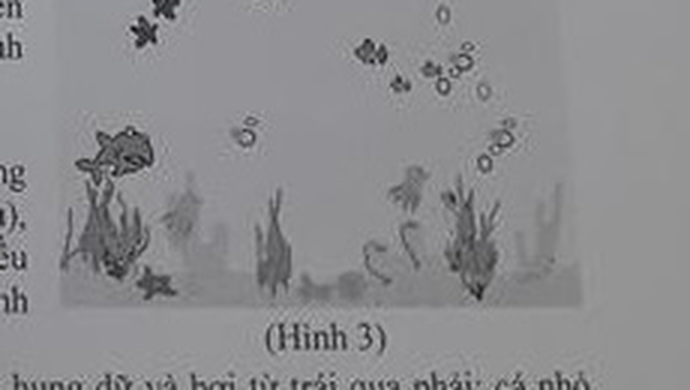 Hình 3: cảnh bể cá với cá mập, cá nhỏ, sao biển, rong biển và bong bóng nước nổi lên